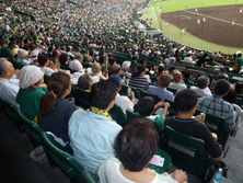 Gathering to cheer Hanshin Tigers in Koshien