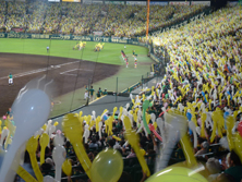 Gathering to cheer Hanshin Tigers in Koshien