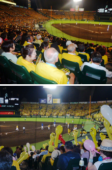 Gathering to cheer Hanshin Tigers in Koshien