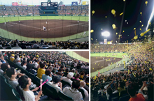 Baseball Match at Koshien Stadium