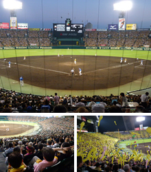 Baseball Match at Koshien Stadium