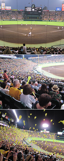 Baseball Match at Koshien Stadium