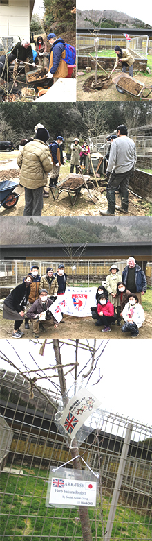 Sakura Herb Project associated with British-style Activities of Animal Protection