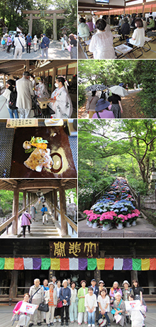 自然に彩られた日本の原点をめぐる大和の旅