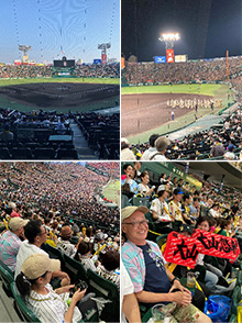プロ野球観戦「阪神タイガース VS 広島東洋カープ」
