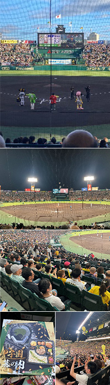 Baseball Match at Koshien Stadium